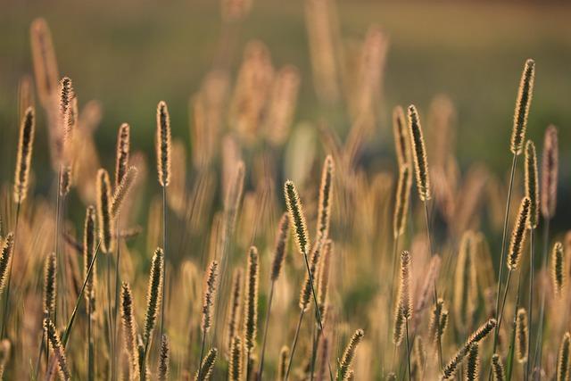 Tips for ⁣Enhancing Your‌ skincare⁤ Routine ⁢with Golden Hour Recovery⁤ Cream