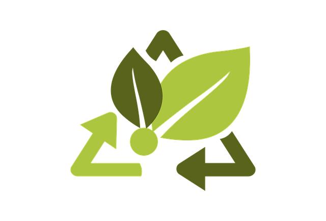 Eco-Friendly Beauty: How RAAN's Commitment to Plastic-Free Products‌ Makes a Difference