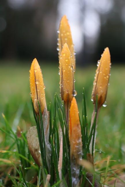 How to ⁣incorporate Dew Drops into Your Skincare Routine