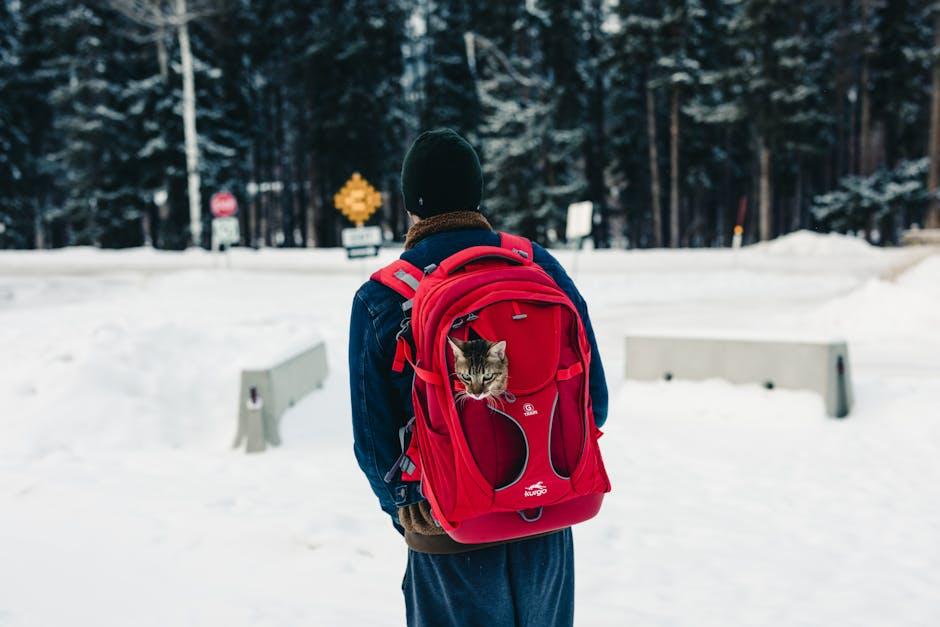 travel Companion Essentials: Features That ⁢Enhance Your Journey