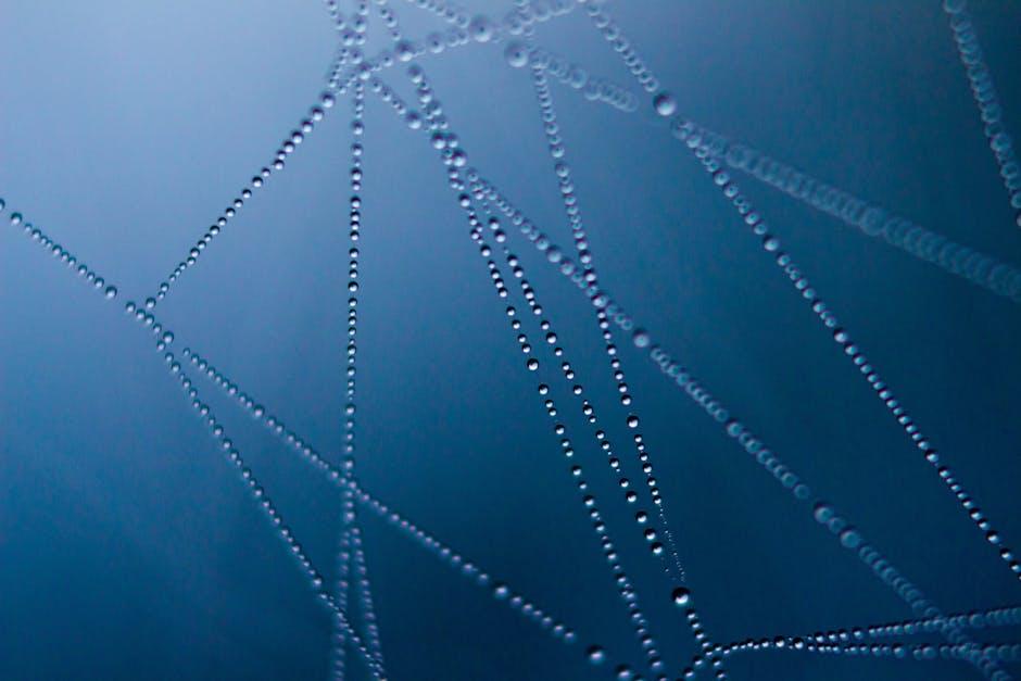The Role ‍of Connectivity⁤ and Smart Homes in Senior Wearables